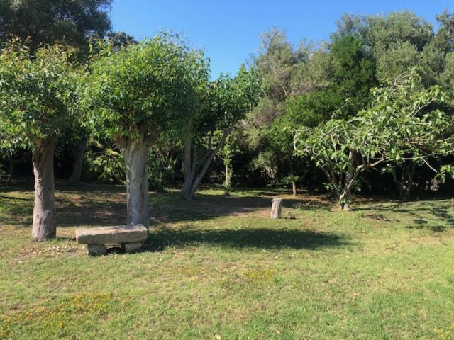 Вілла Civico34 House 3 - I Giardini Dell'Ancora Стінтіно Екстер'єр фото